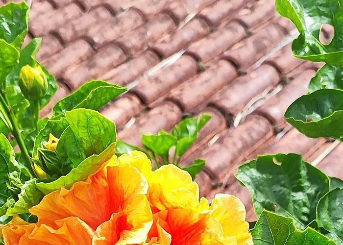 Pousada Soul Green Paraty